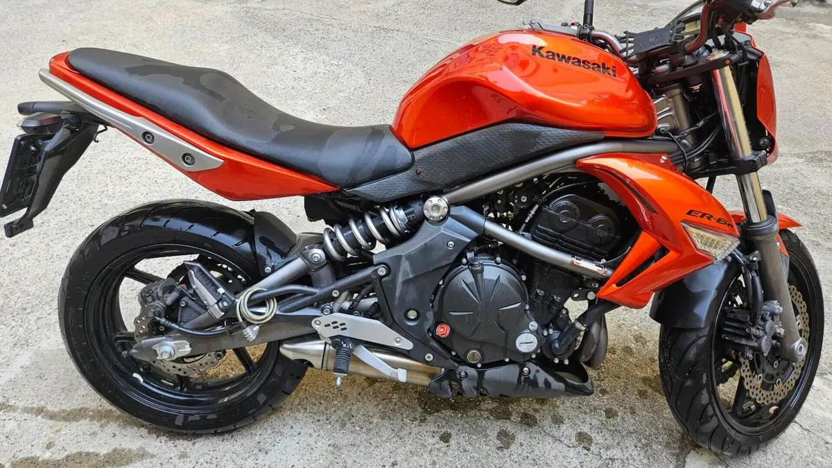 Kawasaki ER-6N (2009 - 11)  (5)