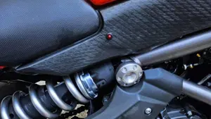 Kawasaki ER-6N (2009 - 11)  (7)