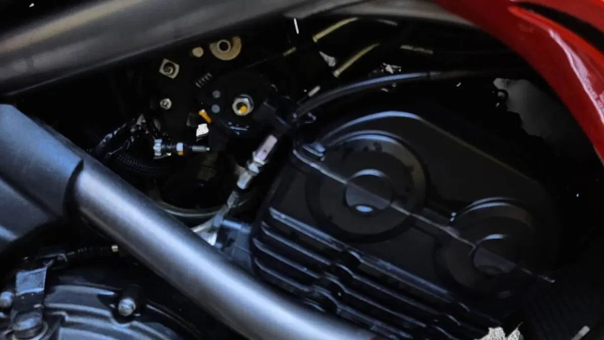 Kawasaki ER-6N (2009 - 11)  (8)