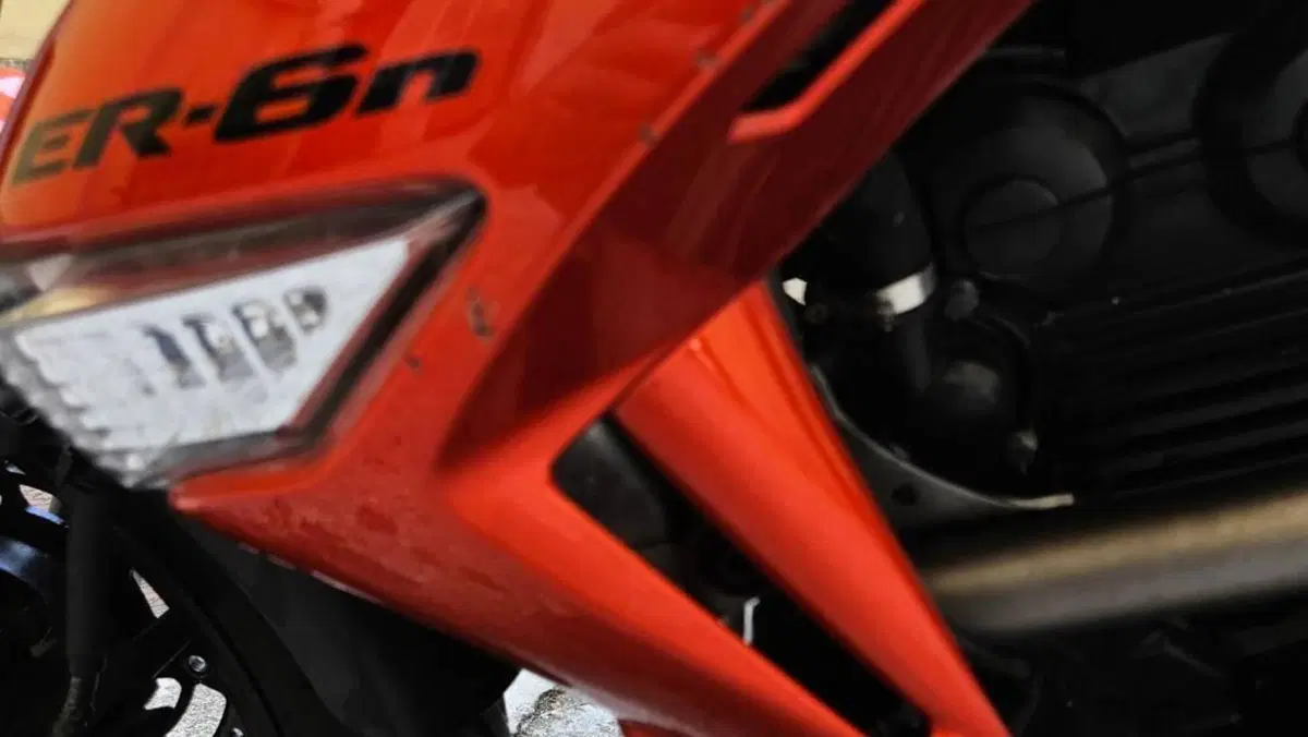 Kawasaki ER-6N (2009 - 11)  (9)