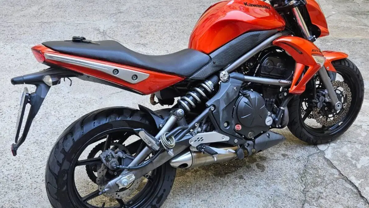 Kawasaki ER-6N (2009 - 11)  (12)