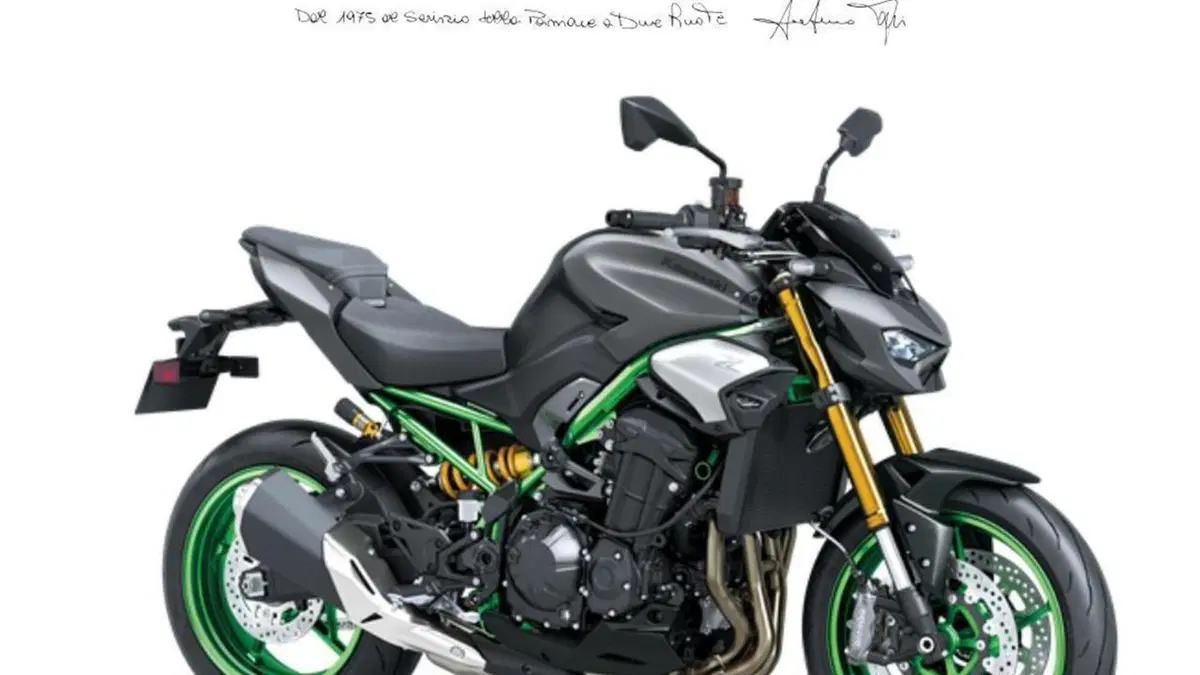 Kawasaki Z 900 SE (2025 - 26) 