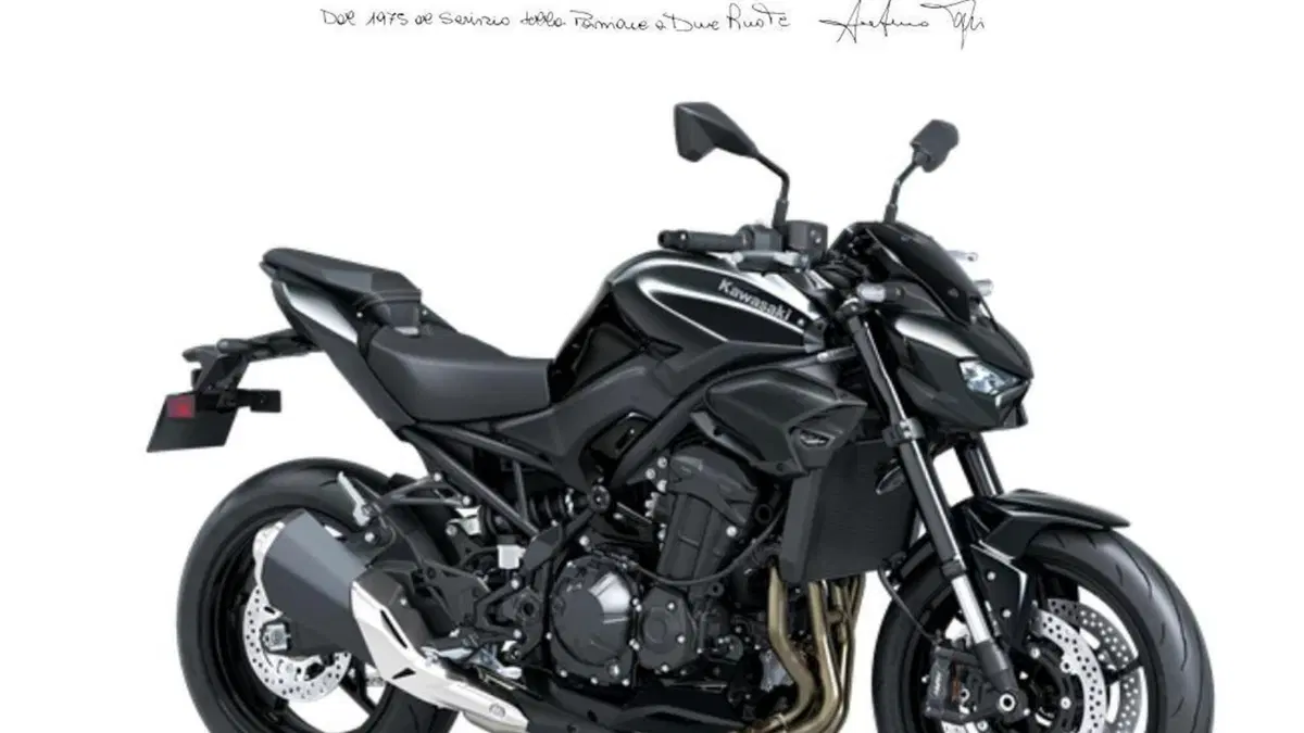 Kawasaki Z 900 (2025 - 26) 