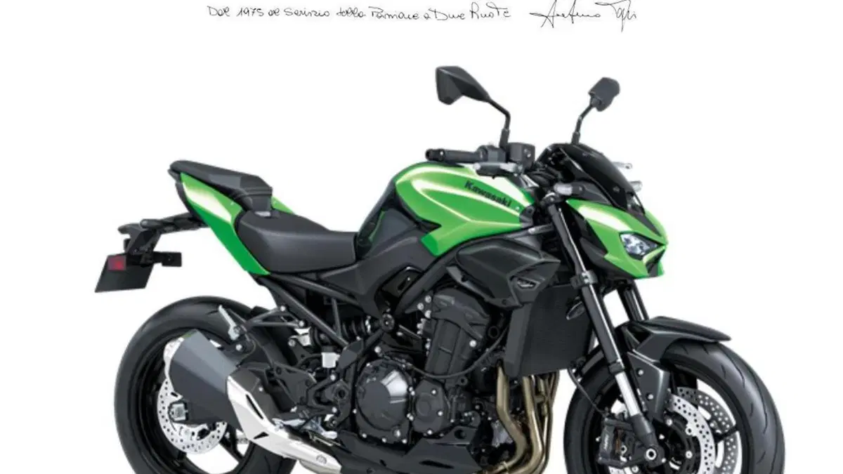 Kawasaki Z 900 (2025 - 26) 