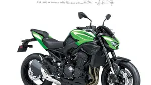 Kawasaki Z 900 (2025 - 26) 