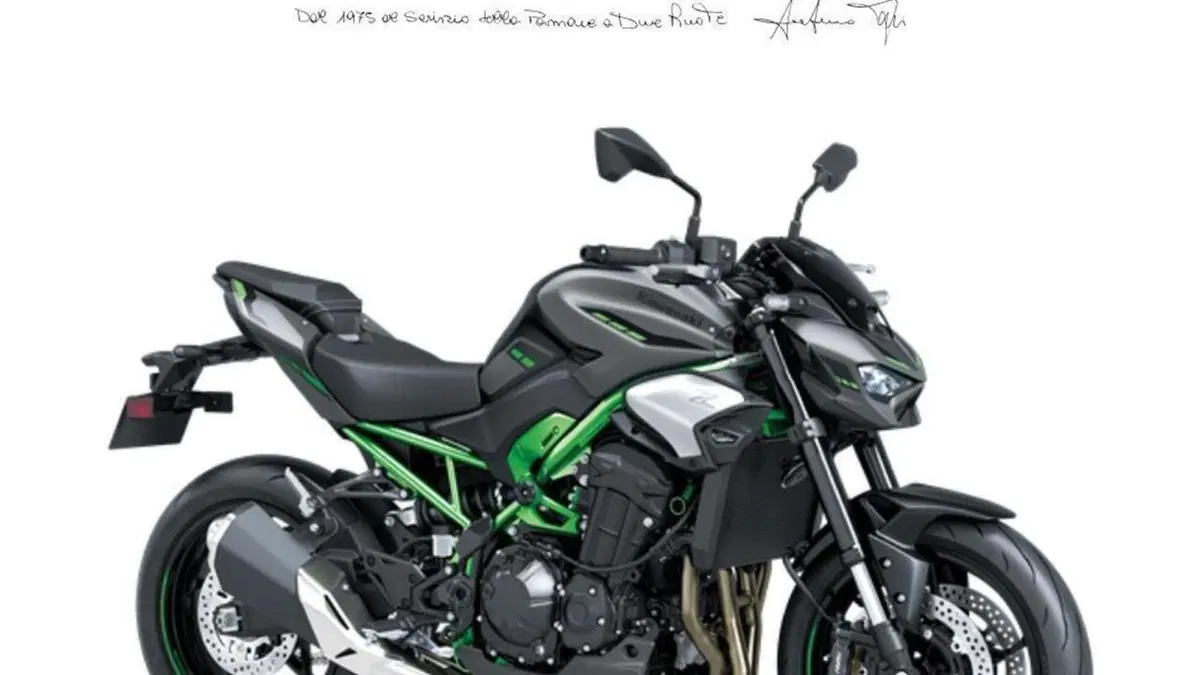 Kawasaki Z 900 A2 (2025 - 26) 