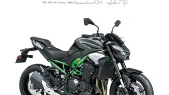 Kawasaki Z 900 A2 (2025 - 26)