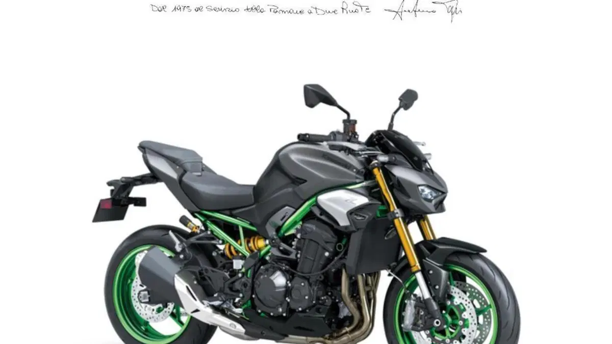 Kawasaki Z 900 SE (2025 - 26) 
