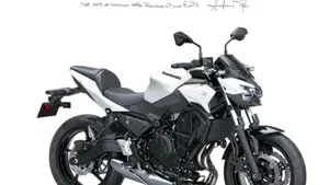 Kawasaki Z 650 (2025 - 26) 