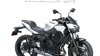 Kawasaki Z 650 (2025 - 26)