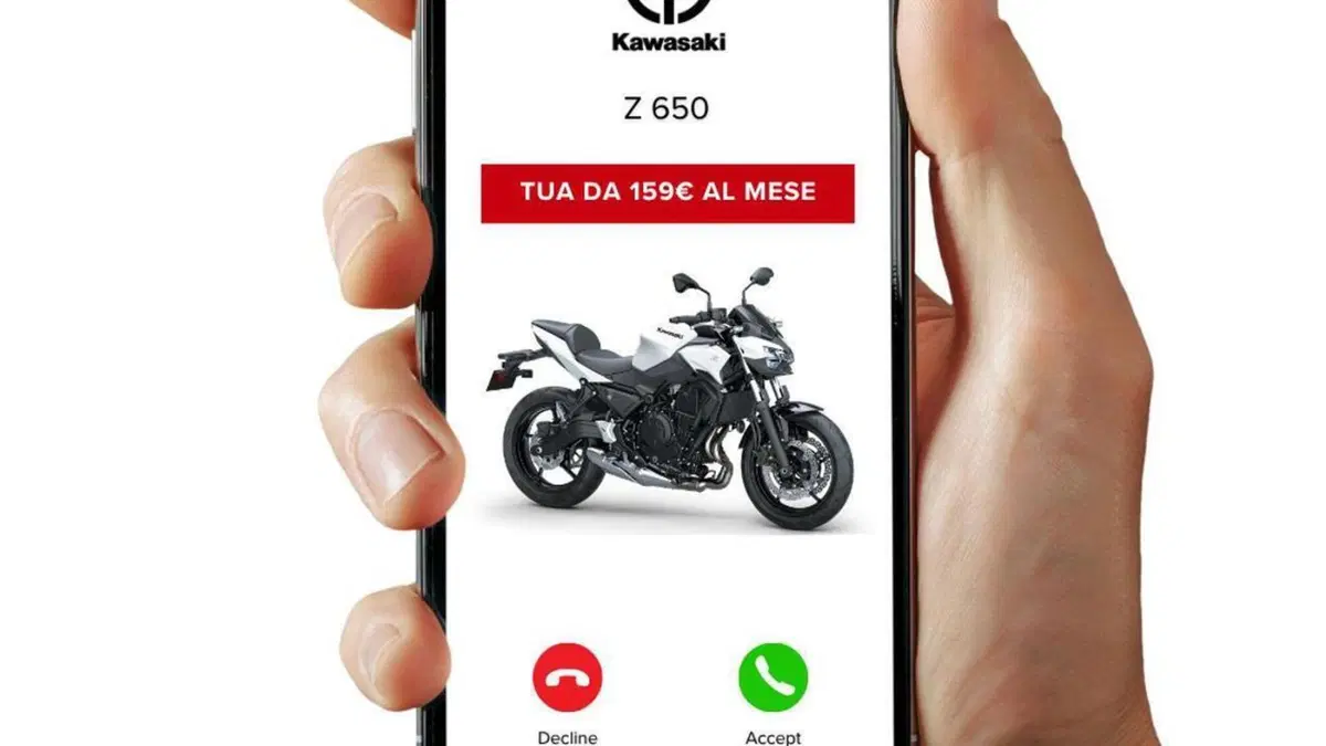 Kawasaki Z 650 (2025 - 26)  (3)