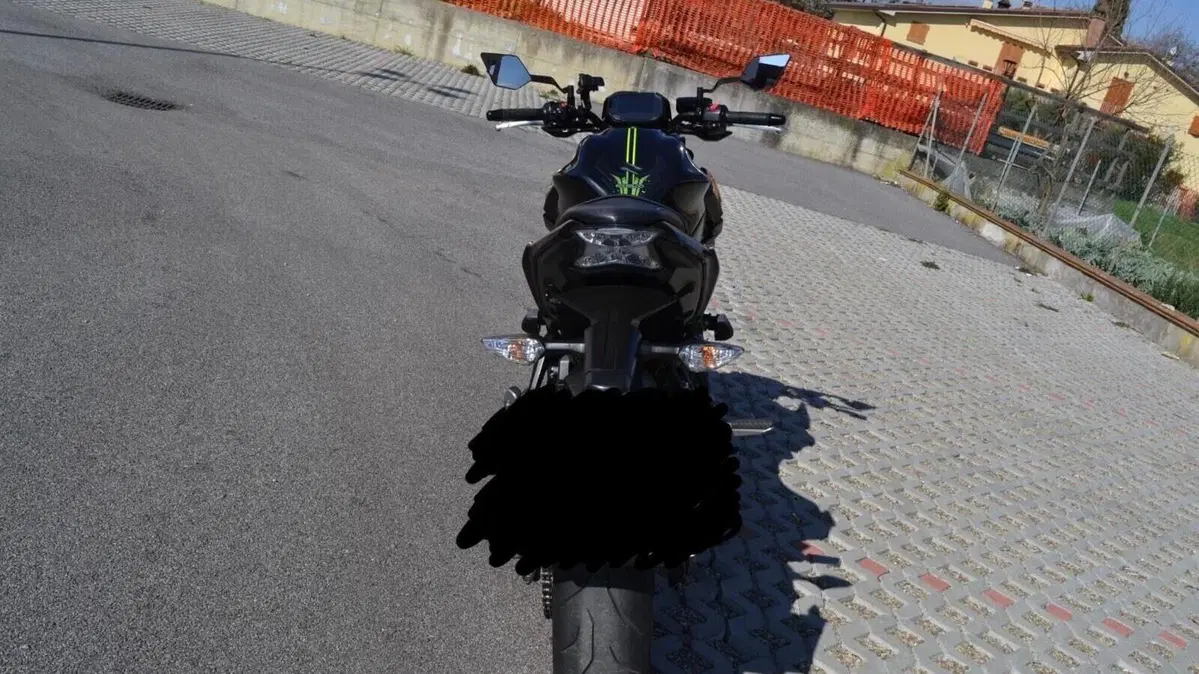 Kawasaki Z 650 Performance (2020)  (2)
