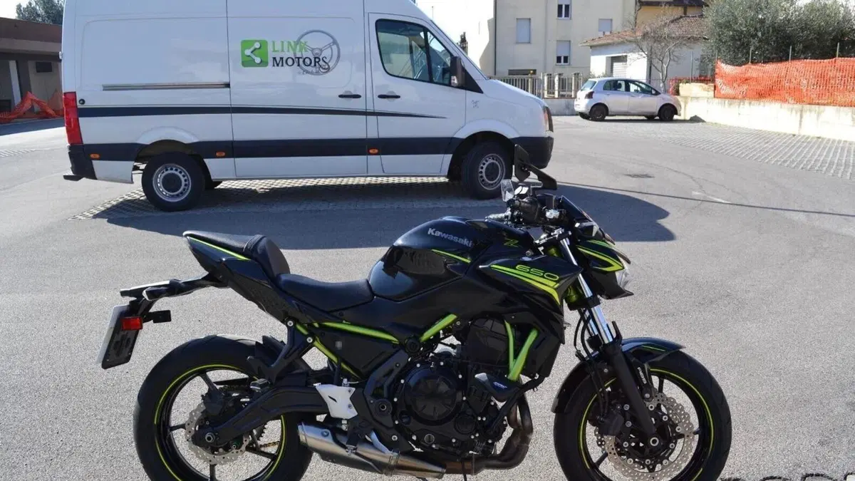 Kawasaki Z 650 Performance (2020)  (3)