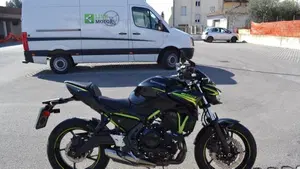 Kawasaki Z 650 Performance (2020)  (3)