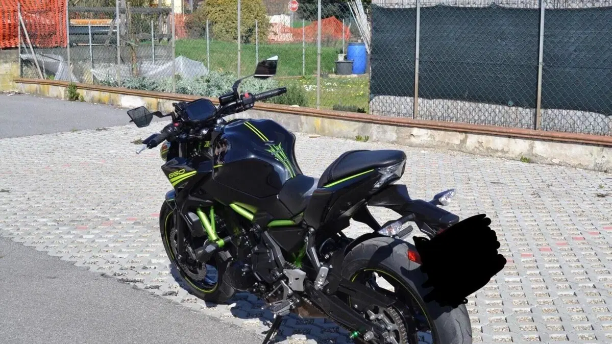 Kawasaki Z 650 Performance (2020)  (5)