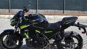 Kawasaki Z 650 Performance (2020)  (6)