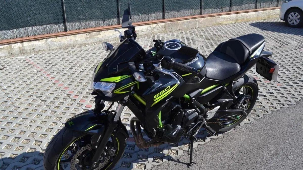 Kawasaki Z 650 Performance (2020)  (8)