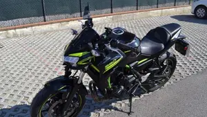 Kawasaki Z 650 Performance (2020)  (8)