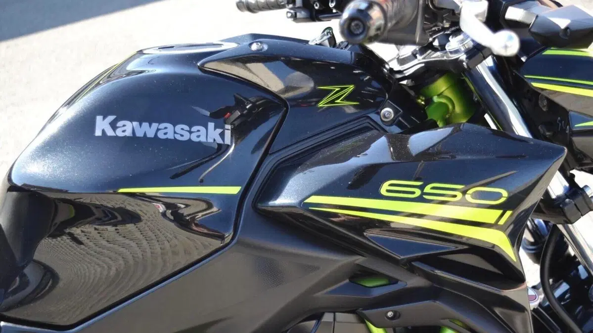 Kawasaki Z 650 Performance (2020)  (9)