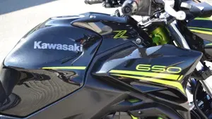 Kawasaki Z 650 Performance (2020)  (9)