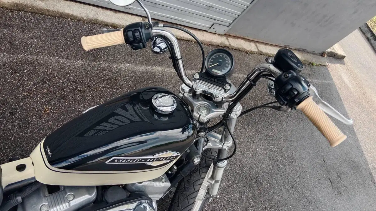 Harley-Davidson 883 Custom (2001 - 05) - XL 53C  (2)