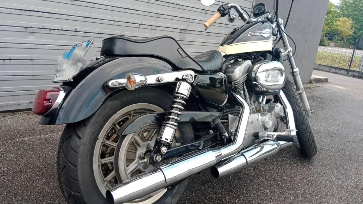 Harley-Davidson 883 Custom (2001 - 05) - XL 53C  (4)