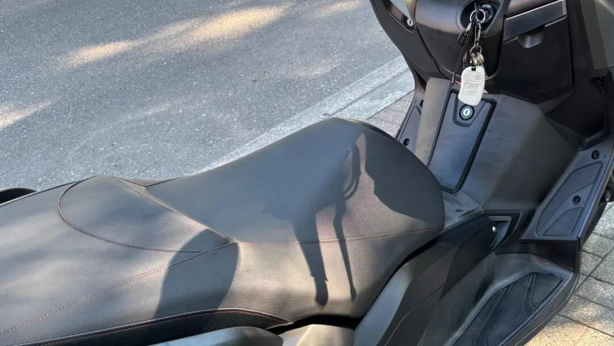 Yamaha X-Max 250 ABS (2014 - 16)  (6)