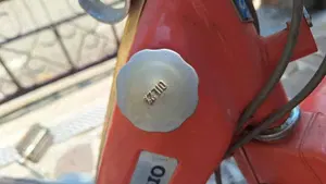 Piaggio   (5)