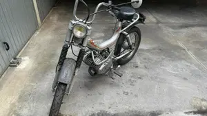 Rizzato  
