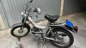 Rizzato   (2)