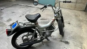 Rizzato   (5)