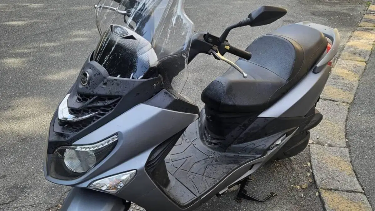 Sym Joyride 200 ABS (2017 - 20) 