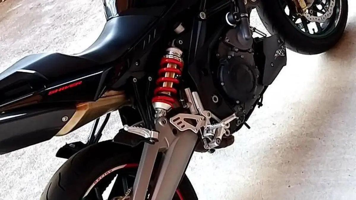 Aprilia Shiver 750 ABS (2010 - 17)  (7)