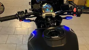Triumph Trident 660 (2021 - 24)  (2)