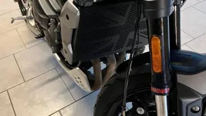 Triumph Trident 660 (2021 - 24)  (4)