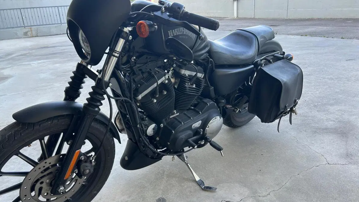 Harley-Davidson 883 Iron (2012 - 14) - XL 883N  (3)