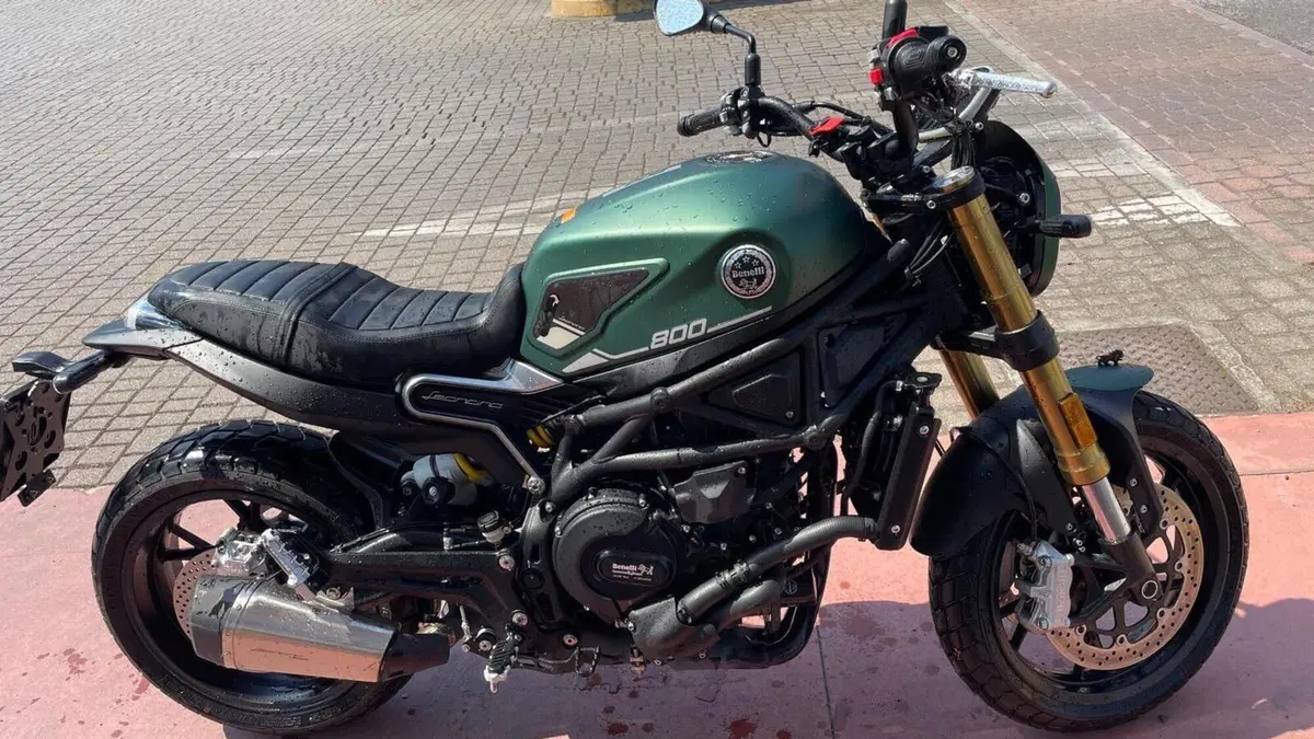 Benelli Leoncino 800 (2022 - 26)  (4)