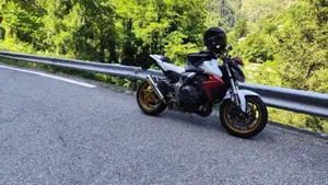 Honda CB 1000 R (2008 - 10)  (7)