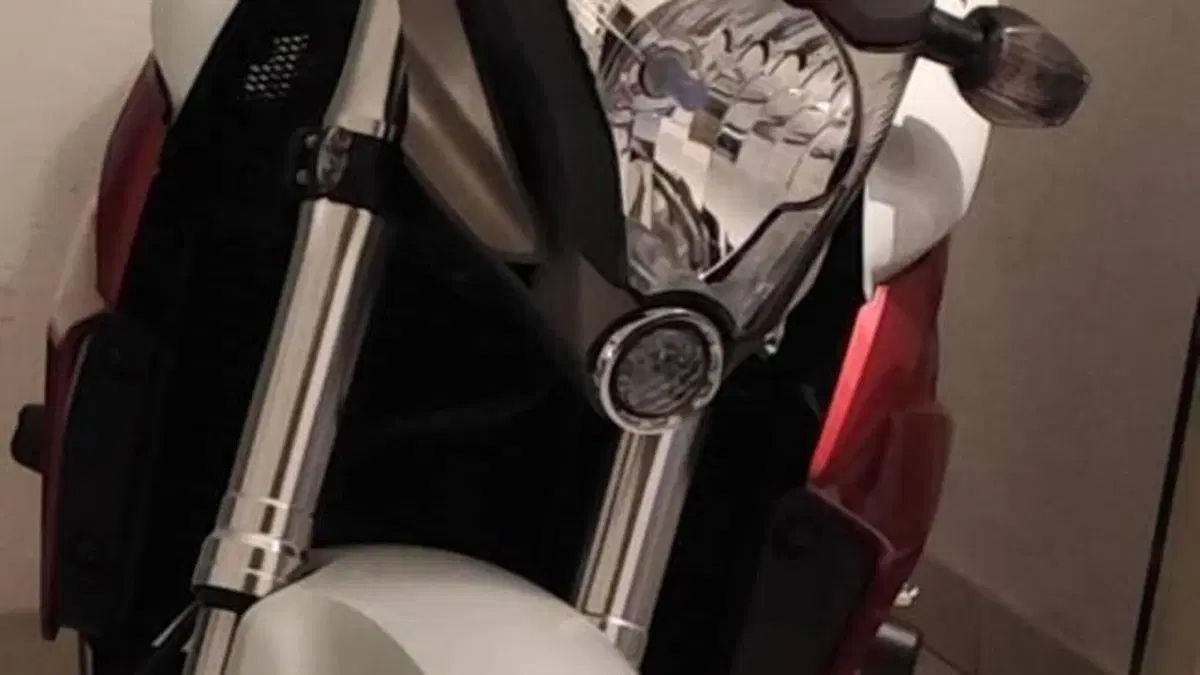 Honda CB 1000 R (2008 - 10)  (9)