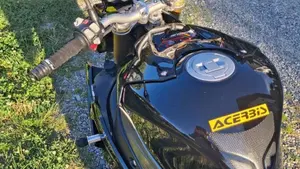 Bmw S 1000 R (2014 - 16)  (4)