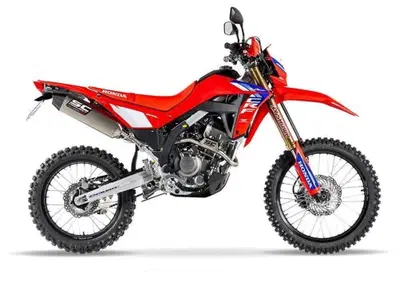 Honda CRF 300L Red Edition (2026) - Annuncio 10060165