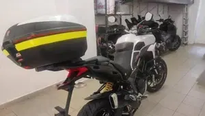 Ducati Multistrada 950 (2018)  (2)