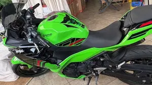Kawasaki Ninja 400 Performance (2023)  (6)