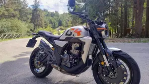 Zontes ZT350-GK (2022 - 26)  (6)
