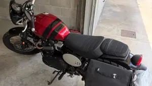 Triumph Scrambler 900 (2023 - 25)  (4)