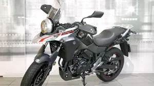 Suzuki V-Strom 250 (2017 - 20)  (3)