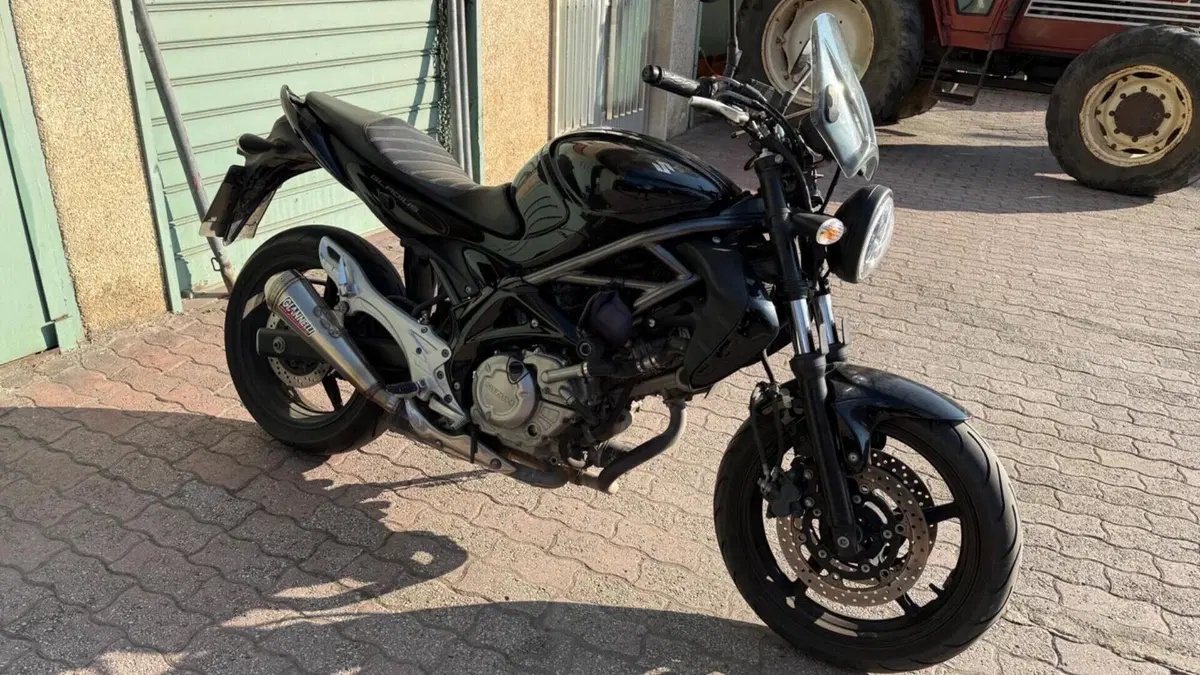 Suzuki Gladius 650 SFV (2009 - 15) 