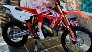 Betamotor RR 300 2T Enduro (2013) 