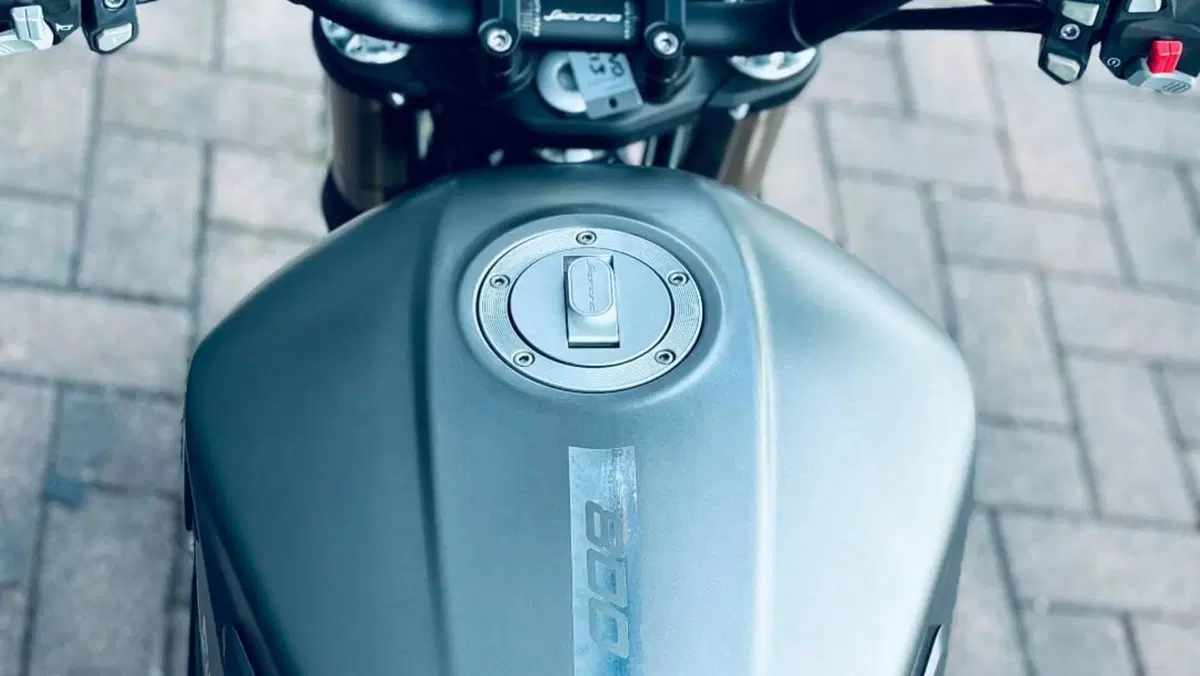 Benelli Leoncino 800 (2022 - 26)  (7)