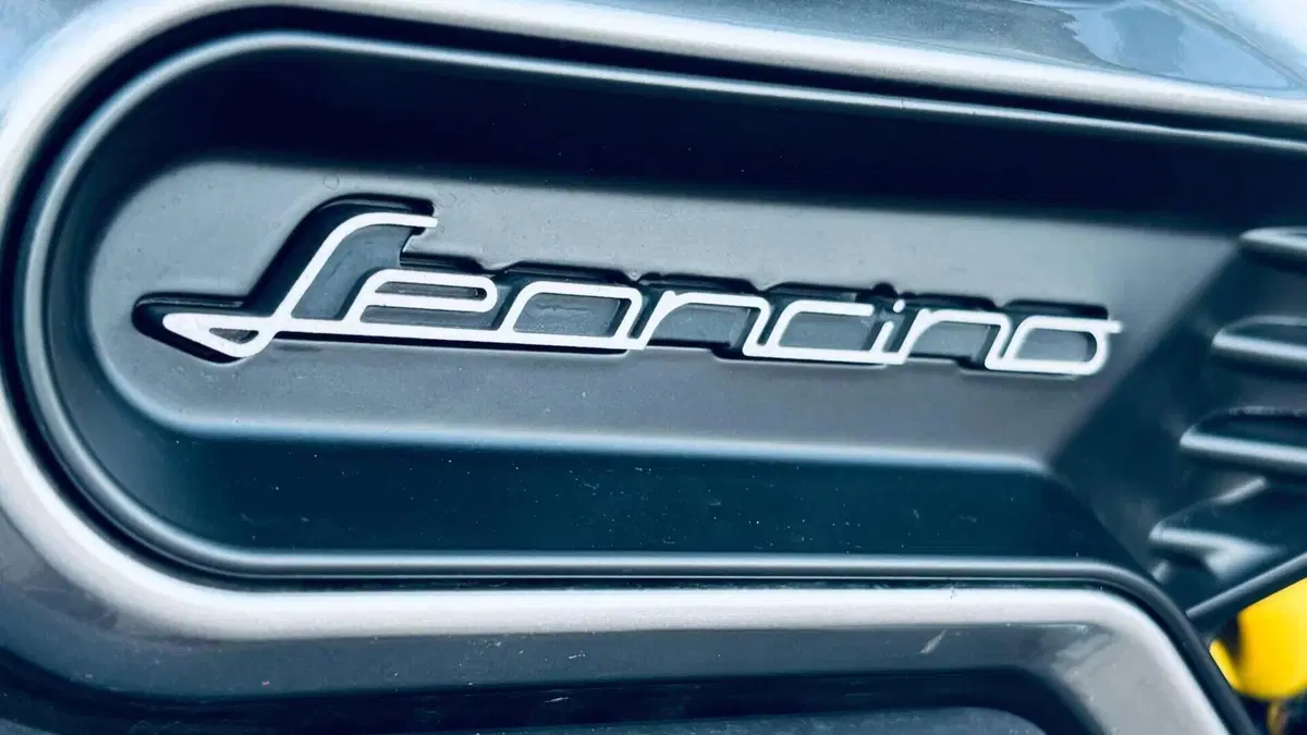Benelli Leoncino 800 (2022 - 26)  (11)